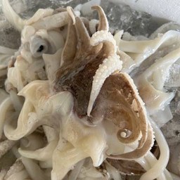 หนวดหมึกสด 1 kg. ไม่เผา