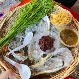 หอยนางรม