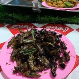 แมลงทอดบางสาย
