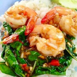 ข้่าวราดผัดกระเพรากุ้ง