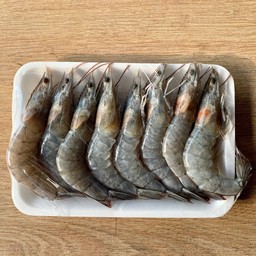 กุ้งขาว