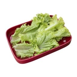 ผักกาดหอม