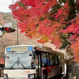 Shinkyo Bridge