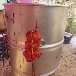 โครงกระดูกรวม 1 ไม้