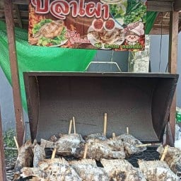 ณัฐเมี่ยงปลาเผา กาดโซนเหลือง