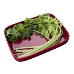 ขึ้นฉ่าย