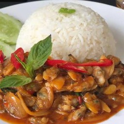 ผัดพริกเผา เนื้อหอยลาย +ข้าว
