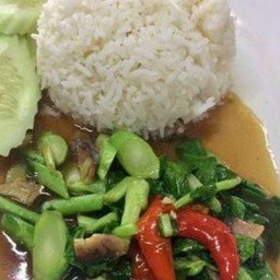 ผัดคะน้าราดข้าว