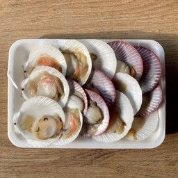 หอยเชลล์