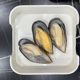 Mussels