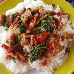 ข้าวกะเพราหมู