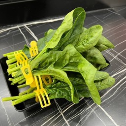 Spinach