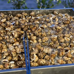 ขอบคุณภาพจากเพจ อ้วนปิ้งย่าง Chubby Hot Pot Bbq  (小胖燒烤)