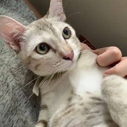 มิว เจริญกรุง ยานนาวา สาทร