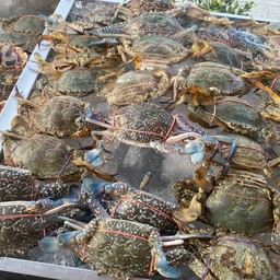 ขอบคุณภาพจากเพจ อ้วนปิ้งย่าง Chubby Hot Pot Bbq  (小胖燒烤)