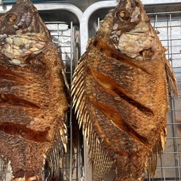 ปลานิลทอด M