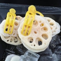 Lotus Root