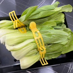 Bok Choy