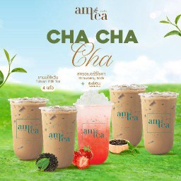 Cha Cha 5 แก้ว