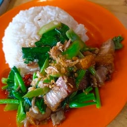 ผัดคะน้า ราดข้าว