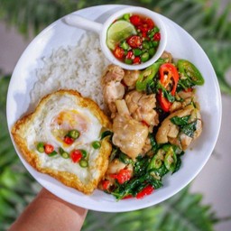 ไก่ผัดโหระพา ไข่ดาว ราดข้าว