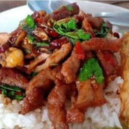 กระเพราหมูแดดเดียวราดข้าว