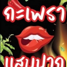 ป้าจุ๋มผัดกะเพราแสบปาก หมู่บ้านรินทิชา