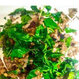 กระเพราเป็นกับข้าว