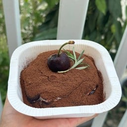 MOLTEN CHOCOLATE CAKE