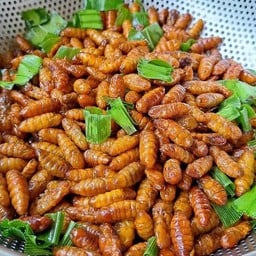 เสธ หน้ากากหมูย่าง (มิตรภาพ ซอย 4)