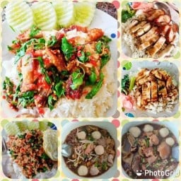 ต้นสนเลิศรส