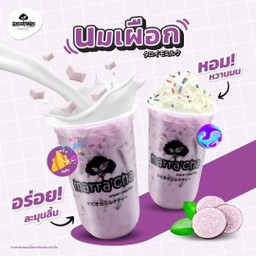 นมเผือก