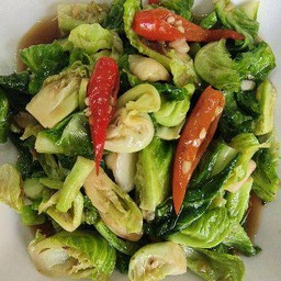 แขนงไฟแดง