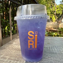 อัญชันน้ำผึ้ง