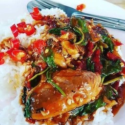 Stir Fried Basil With Canned Fish On Rice