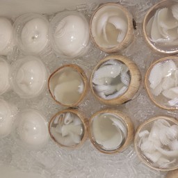 น้ำมะพร้าวสดแท้จากธรรมชาติ100%