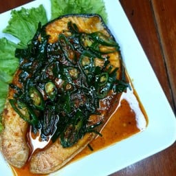 พะแนงปลาแซลมอน กับข้าว