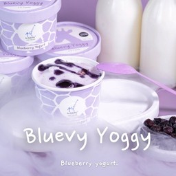 ไอศครีม บลูเบอรี่โยเกิร์ต