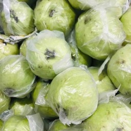 ฝรั่งกิมจู 1 กิโล