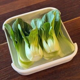 ฮ่องเต้น้อย