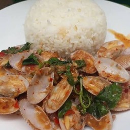 ผัดหอยลายราดข้าว