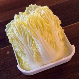 ผักกาดขาว