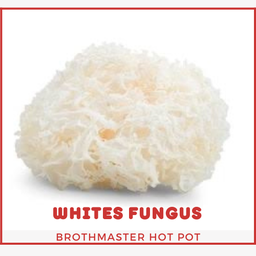 เชื้อราหิมะ