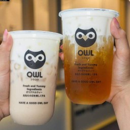 OWL CHA อาวน์ชา อาวน์ชา พระยามนธาตุฯ