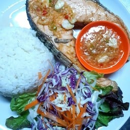 ข้าวปลาแซลมอนลุยสวน