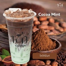 โกโก้มิ้นท์