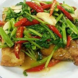 ปลากระพงผัดขึ้นฉ่ายราดข้าว