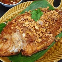 ครัวลุงตี๋ เจ้าเก่าไนท์บาซาร์