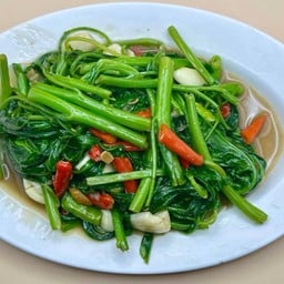 ผักบุ้งไฟแดง