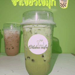 Oilcha